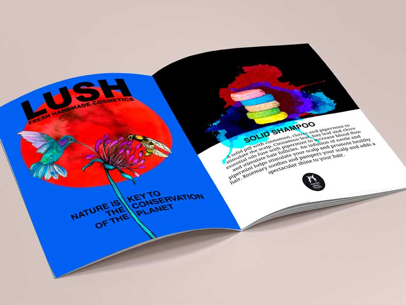 Proyecto Lush - Catálogo - interior